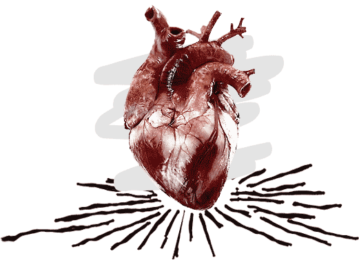 heart